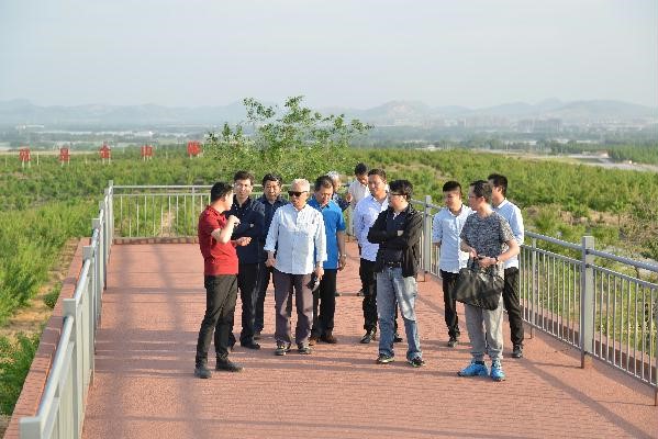 國(guó)家林业局元宝枫产业发展调研组到泗水调研