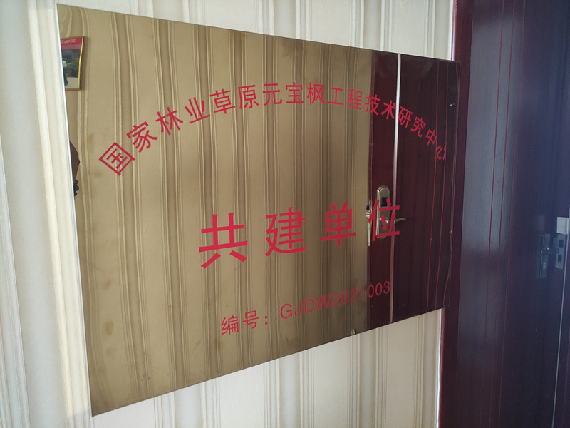 國(guó)家林业草(cǎo)原元宝枫工程技术研究中心共建单位