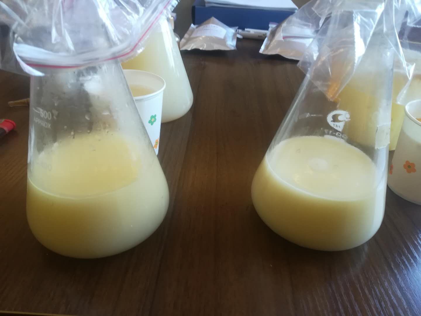 元宝枫籽油植物(wù)饮品的开发